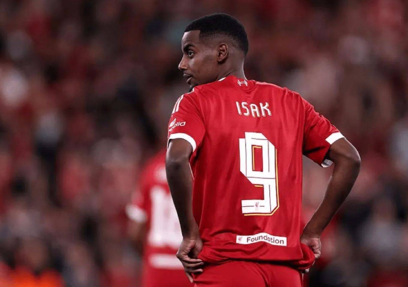 包含转会期罗马调整名单以备欧篮联，单刀错失环节打磨，管理层满意，年轻球员得到机会的词条